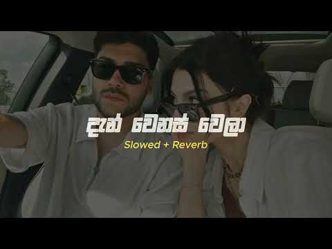 Den Wenas Wela (Slowed + Reverb) Master Peace..💕🍃