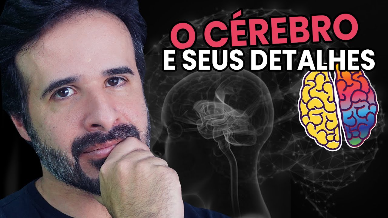 O CÉREBRO E SEUS DETALHES: