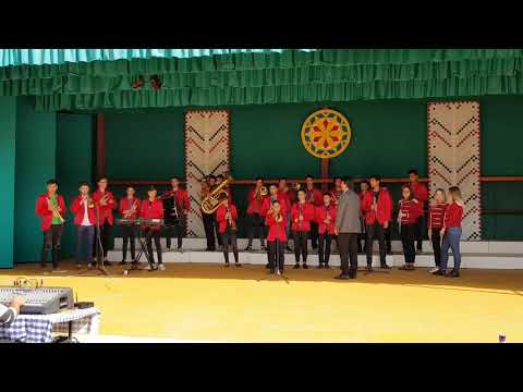 Fanfara ROTARIA din Vaslui