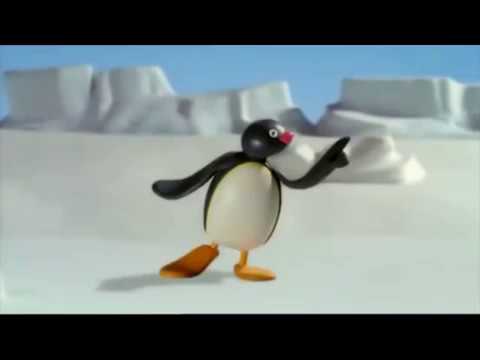 APM 11/12/2016 - Es pingu