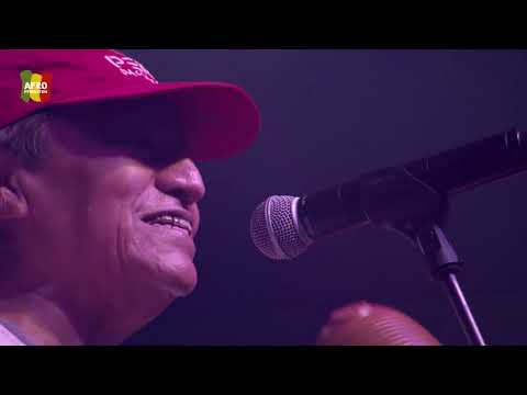 Los Wemblers @ Afro-Pfingsten Festival 2018