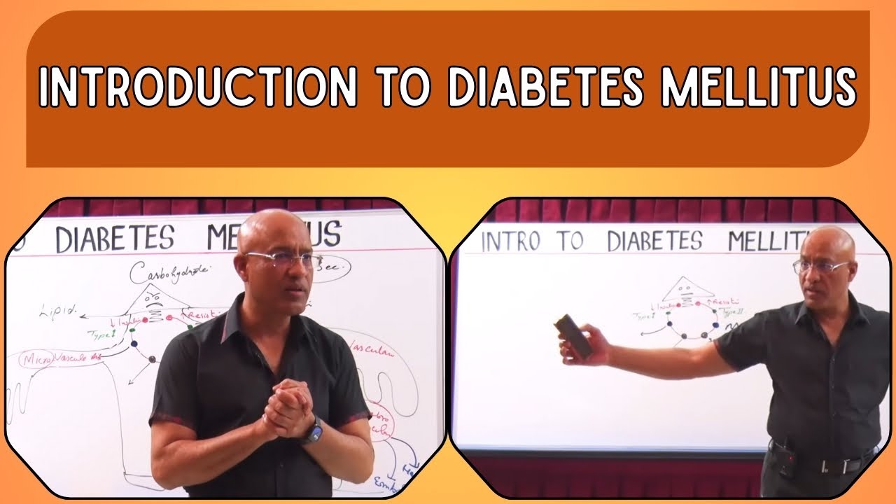 Introduction to Diabetes Mellitus Part 1/2💉