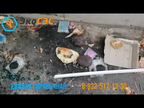 Отзывы от ЭкоСЭС - видео 7z4XSBJjxHY