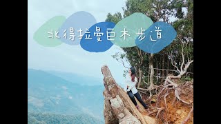 Download the video "北得拉曼巨木步道【新竹尖石鄉】瀑布、迴音谷、巨木｜舒服好走的登山步道｜巨大神木等你來唷！"