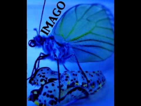 IMAGO - Real as it gets