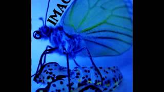 IMAGO - Real as it gets