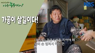 [여장부 선정 씨와 순둥이 남편의 석천리 동상이몽] 소문난 양파 농부가 되는 법