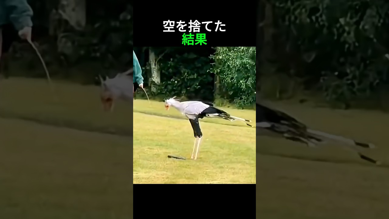空を捨てた結果