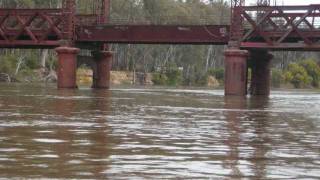 preview picture of video 'Light flooding on the Murray river Tocumwal'