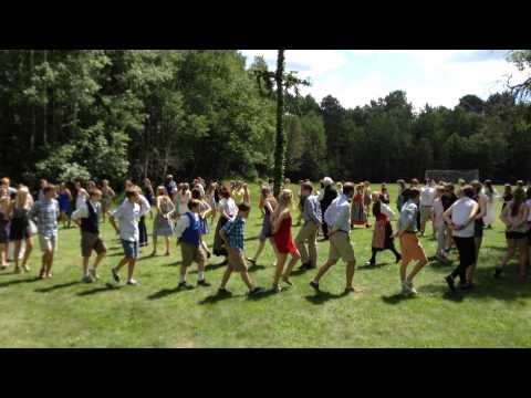 2015 Midsommar promenad 9  små grodorna   midsommar 08 02 2015 IMG 0553