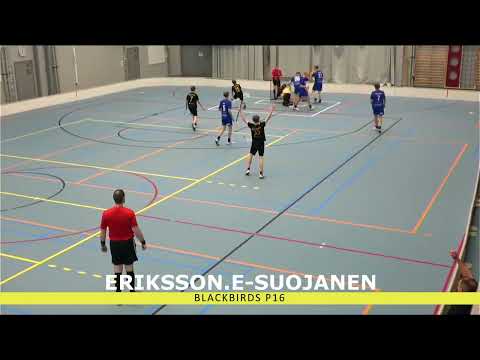 Maalikooste P16 1-div  Blackbirds-LeBa-Josba 3.2.2024