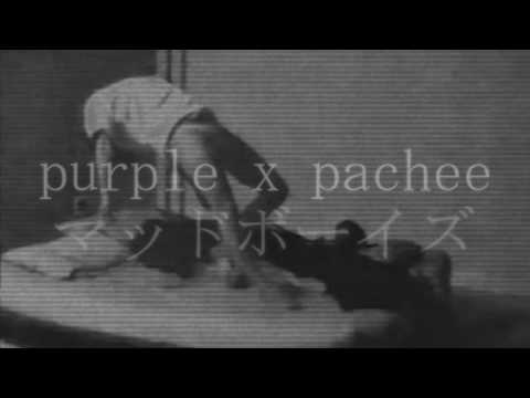 purple x pachee  - マッドボーイズ