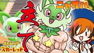 【ポケットモンスター スカーレット】自分でニャオハの進化を見届ける【風見くく / あにまーれ】