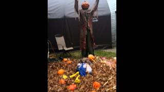 Haunted Walk on Temperance lake 2015