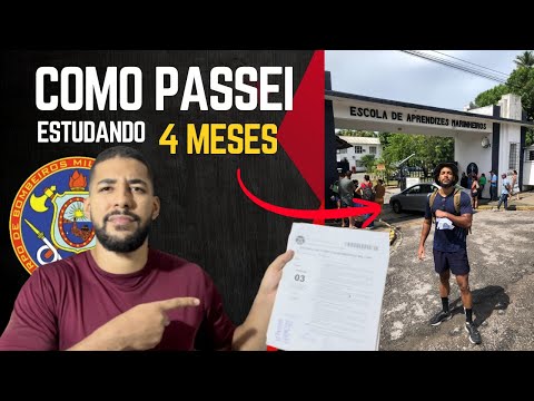 The Step-by-Step Guide to My Passing the CBMPE Exam in 4 Months