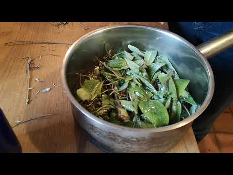 Four Thieves' Remedies - Self Empowerment!