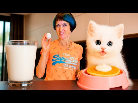 Let's wake up the white kitten Kefir and prepare breakfast! 🍼
