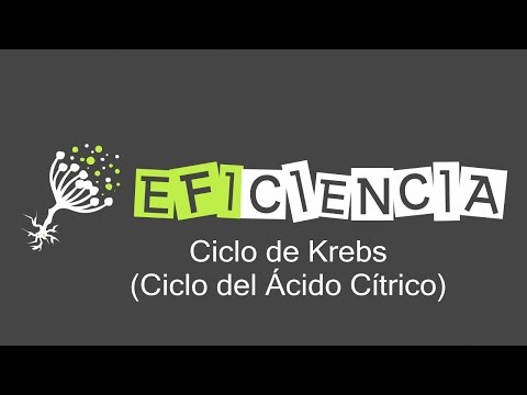 Lideale di vitex la decolorazione della decolorazione affronta il pacco Risposte su siero contro posti di pigmentary