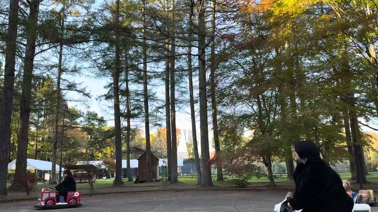 The arrival of autumn:）