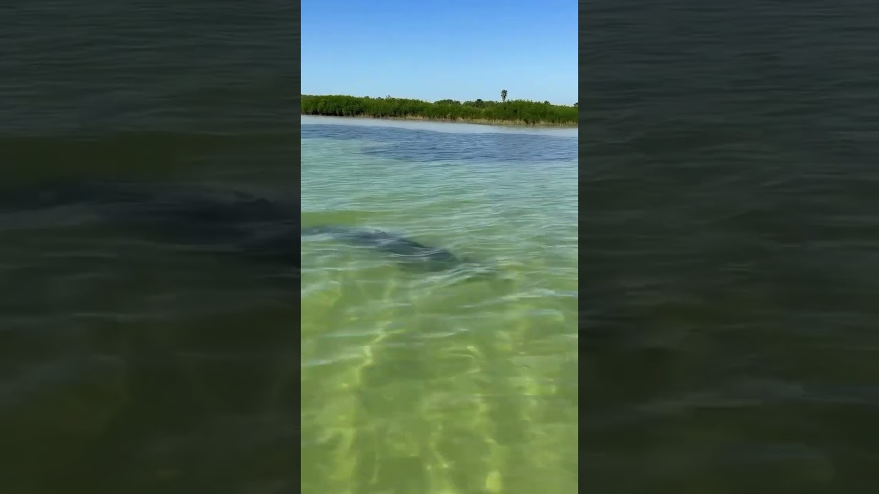 YouTube Short thumbnail