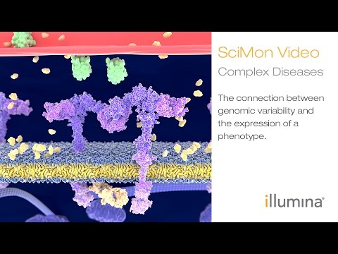 Complex Diseases: The Connection Between Genomic Variability and the Expression of a Phenotype