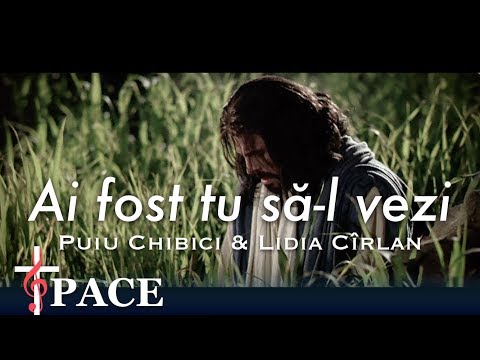 Puiu Chibici - Ai fost tu să-l vezi (Muzica Crestina 2017)