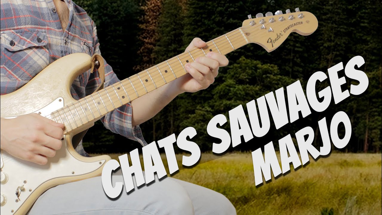 Marjo - Chats sauvages - Solo de guitare avec partition