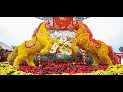 TSC ĐÀ NẴNG ĐÓN TẾT BÍNH NGỌ 2026