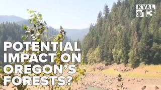 Federal proposal seeks to repeal 'Roadless Rule,' opening millions of Oregon forest acres