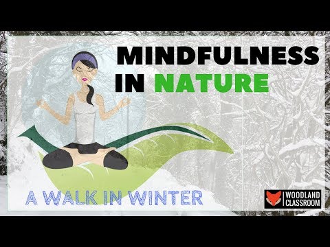 Mindfulness in Nature - I give you 8 activities on how to practice mindfulness in nature to help reduce stress.