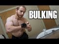I am BULKING again