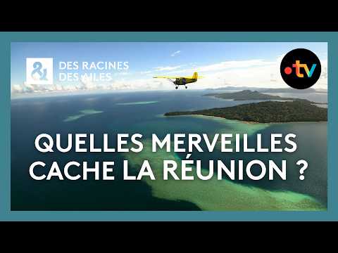Quelles merveilles cache La Réunion ? - Des racines et des ailes
