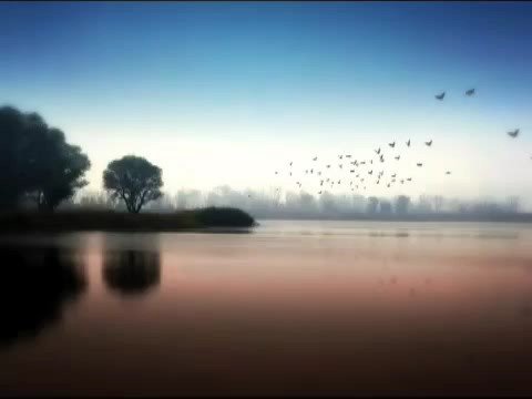 Sweet Life - Catie Curtis