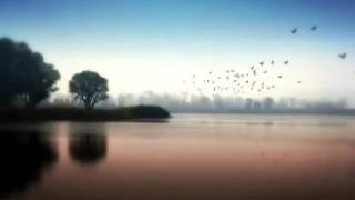 Catie Curtis - Sweet Life