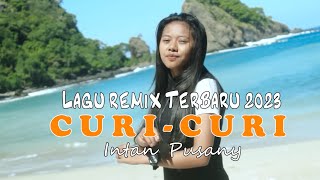 Download lagu Lagu Remix Terbaru 2023_CURI-CURI_Intan Pusany mp3
