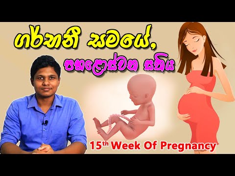 Pregnancy 15th Week | Sinhala Medical Review | අම්මයි බබයි