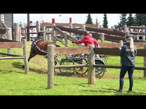 Helpertz, Katja, GER, CH M P A1, A 2, A 4, Minden GER, Marathon Single Ponies, Ob 7, 19 08 2017