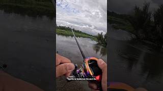 Download lagu Serangan Gila Ikan Gabus di Permukaan❗❗ #memancing #shorts mp3