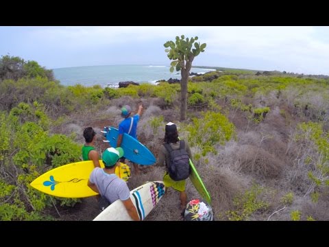 Galapagos Islands Surfing: Isabela Island - GoPro Video of the Day