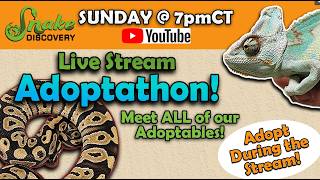 Snake Discovery Adoptathon! July 26, 2026