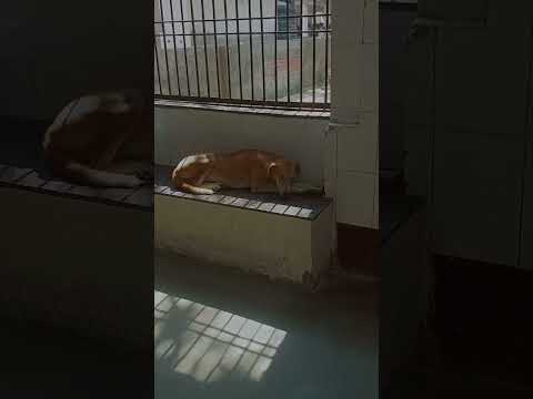 Girl 🩷🩷🩷🩷🩷