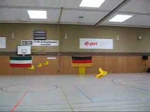 Radio Controlled Flying Ducks