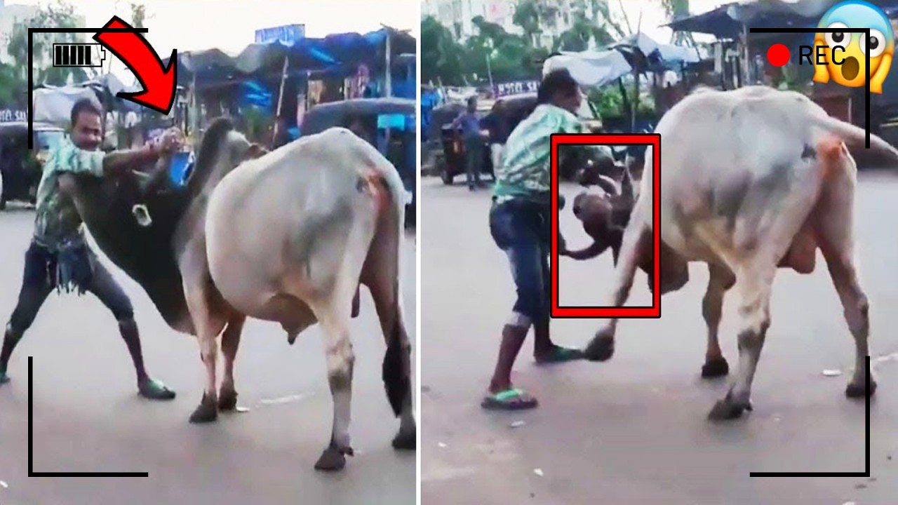 لا يصدق! لقطة واحدة قلبت كل التوقعات… ما وثّقته الكاميرا لا يكاد يُصدّق!