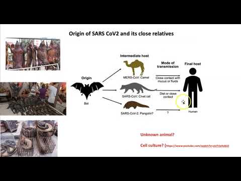 MCRO 320-SARS CoV2 Origin (Dr  Pat Fidopiastis)