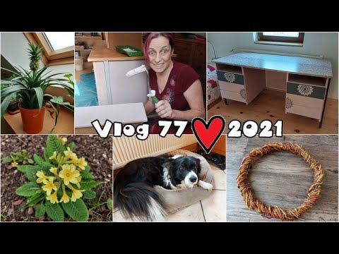 Vlog 77/21 - pracovní neděle
