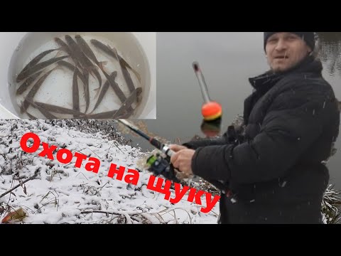 Фото Рыбалка на поплавок охота на щуку 05.12.2021!