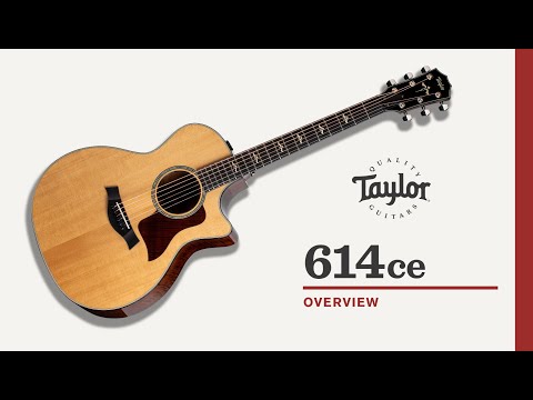 Taylor Guitars 614ce | Video Overview