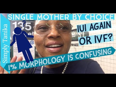 Another IUI or Straight to IVF? | Morphology is Confusing Video