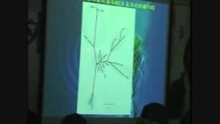 Taiwanese Origin (9)
