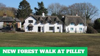NEW FOREST WALK at PILLEY & BEAULIEU HEATH (NEW FOREST NATIONAL PARK) (4K)